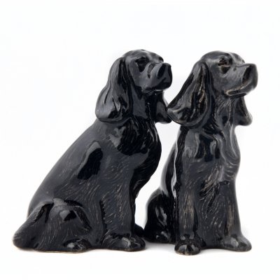 Cocker spaniel salt & pepparkar