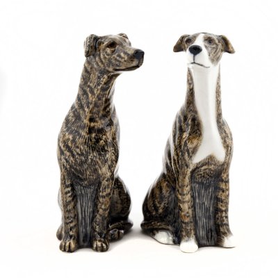 Greyhound salt & pepparkar x
