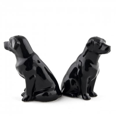 Labrador retriever (svart) salt & pepparkar