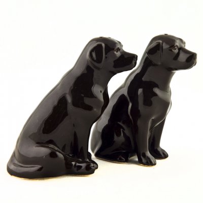 Labrador retriever (brun) salt & pepparkar