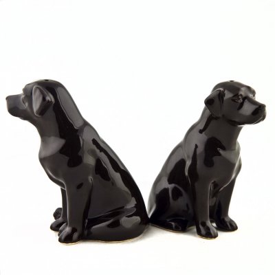 Labrador retriever (brun) salt & pepparkar