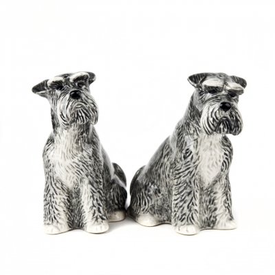 Dvärgschnauzer / schnauzer salt & pepparkar x