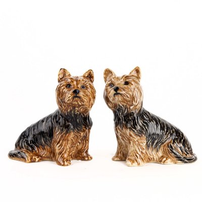 Yorkshireterrier salt & pepparkar