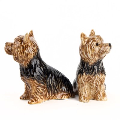 Yorkshireterrier salt & pepparkar