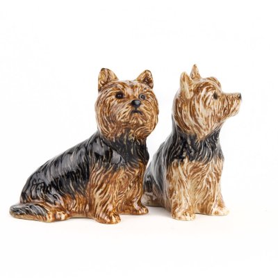 Yorkshireterrier salt & pepparkar