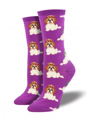 Shih tzu strumpor
