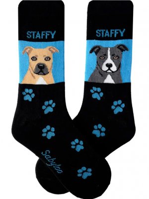 Staffordshire bullterrier strumpor olika storlekar Sam 1