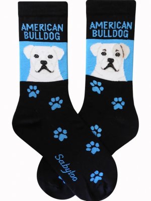 American bulldog strumpor olika storlekar Sam