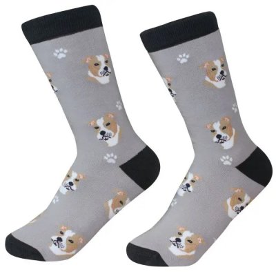 American staffordshire terrier strumpor 1-pack ES