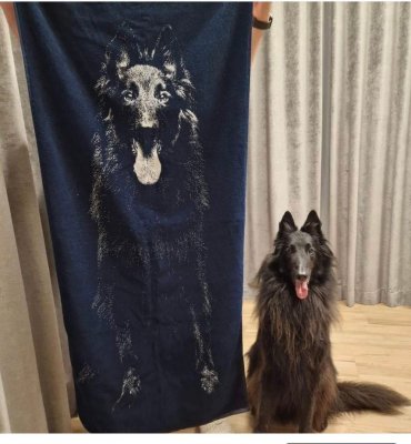 Belgisk vallhund groenendael handduk 100% bomull