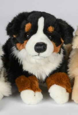 Berner sennenhund mjukisdjur 30 cm UNI p