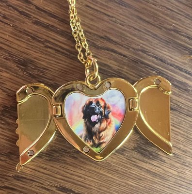 Hängsmycke med kedja vingar välj valfritt motiv