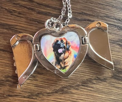 Hängsmycke med kedja vingar välj valfritt motiv