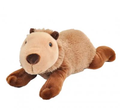 Coypus gosedjur