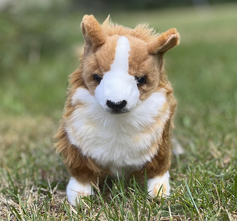 Welsh corgi pembroke mjukisdjur 7594 Hansa